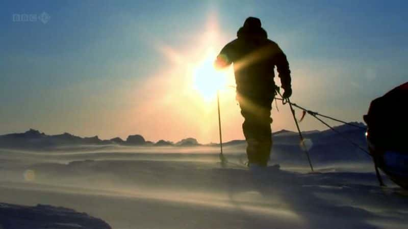 ¼ƬıӢ Harry's Arctic Heroes1080P-Ļ/Ļ