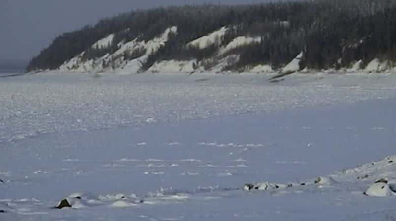 纪录片《快乐的人：针叶林的一年 Happy People: A Year In The Taiga》[无字][BT][1080P][720P]双画质资源下载