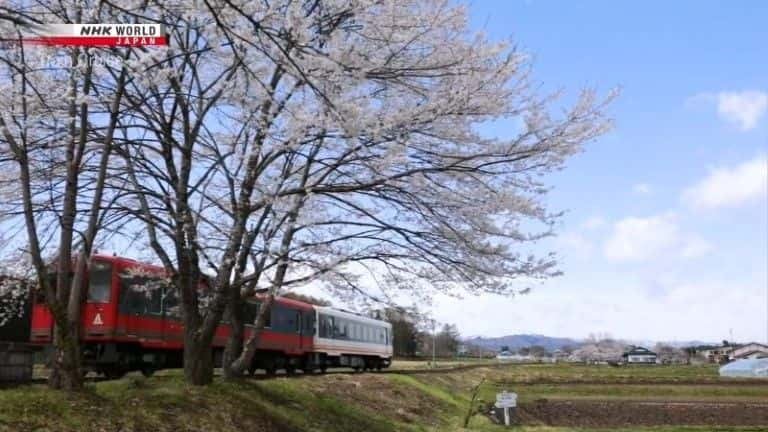 纪录片《春天改变了福岛的武士之国 Spring Transforms Fukushima's Samurai Country》[无字][BT][DVD]资源下载