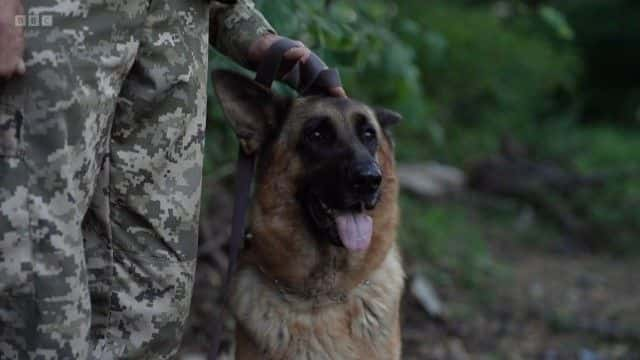 纪录片《乌克兰道奇队选秀 Ukraine's Draft Dodgers》[无字][BT][720P]资源下载