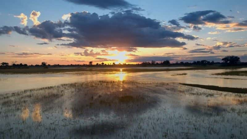 ¼Ƭ޵ĺ Hippos: Africa's River Giants1080Pȫ1-Ļ/Ļ