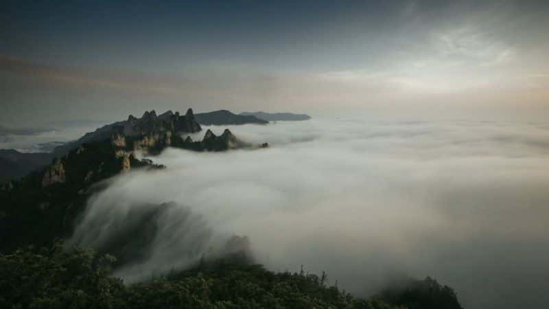 纪录片《韩国：地球上隐藏的荒野 South Korea: Earth's Hidden Wilderness》[无字][BT][1080P]资源下载