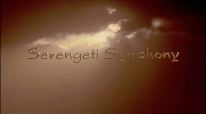 纪录片《塞伦盖蒂交响曲 Serengeti Symphony》[无字][BT][1080P]资源下载