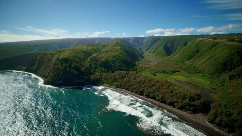 ¼Ƭĵ Sharks of Hawaii1080Pȫ1-Ļ/Ļ