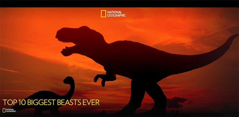 纪录片《有史以来十大最大的野兽高清 Top 10 Biggest Beasts Ever hd》[无字] [BT][DVD画质]资源下载