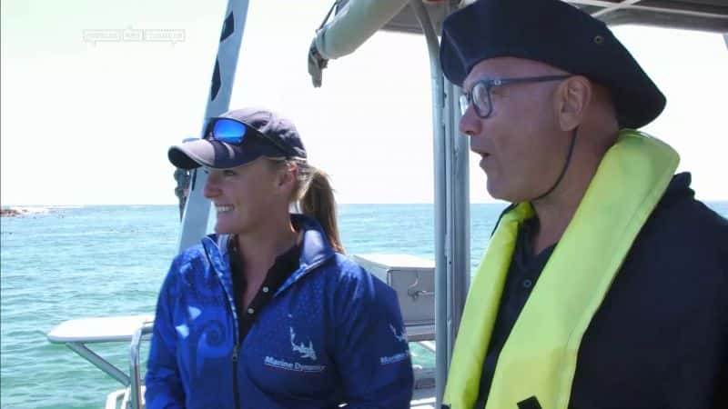 ¼Ƭ׸񡤻ʿ (Gregg Wallace) Ϸǣϵ 1  4 ־㺣 South Africa with Gregg Wallace: Series 1 Part 4 Whale Coast1080P-Ļ/Ļ