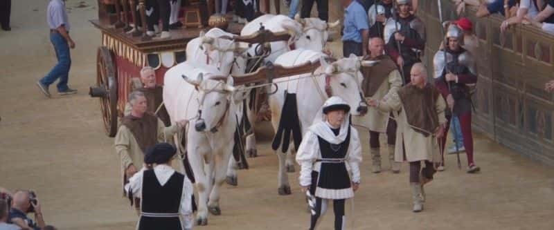 纪录片《世界上最艰难的赛马：派力奥 (BBC) The Toughest Horse Race in the World: Palio (BBC)》[无字][BT][DVD]资源下载