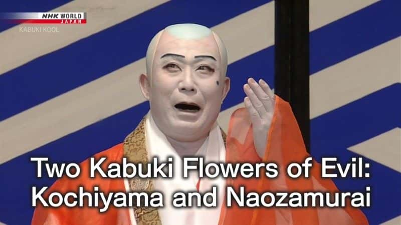 纪录片《两朵歌舞伎恶之花 Two Kabuki Flowers of Evil》[无字] [BT][DVD画质]资源下载