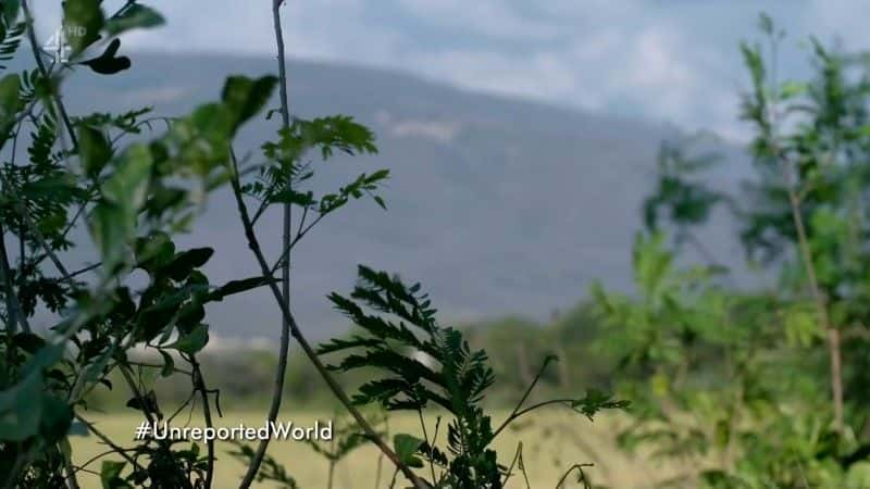 纪录片《委内瑞拉失踪儿童 Venezuela's Lost Children》[无字][BT][1080P]资源下载