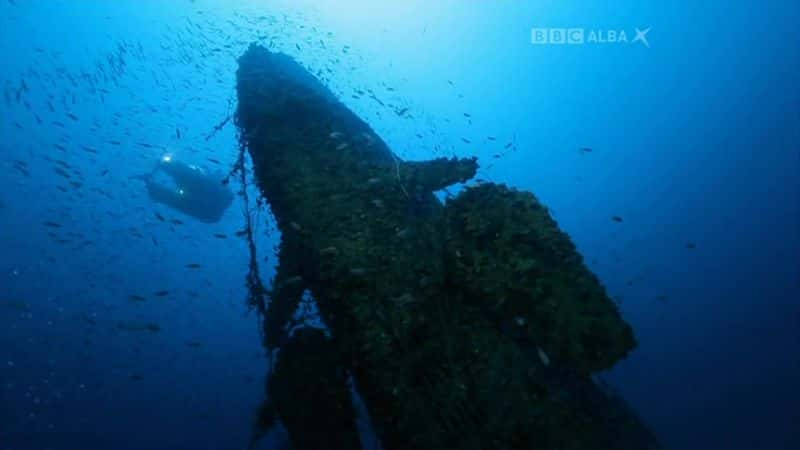 纪录片《U455 失踪潜艇之谜 U455 Mystery of the Lost Submarine》[无字] [BT][DVD画质]资源下载