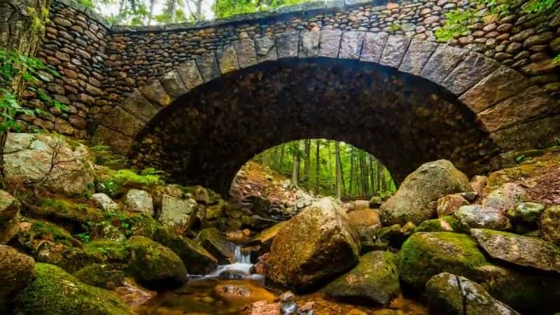 ¼Ƭڶ͵Ĺǹҹ԰ Second Century Stewardship: Acadia National ParkĻ/Ļ