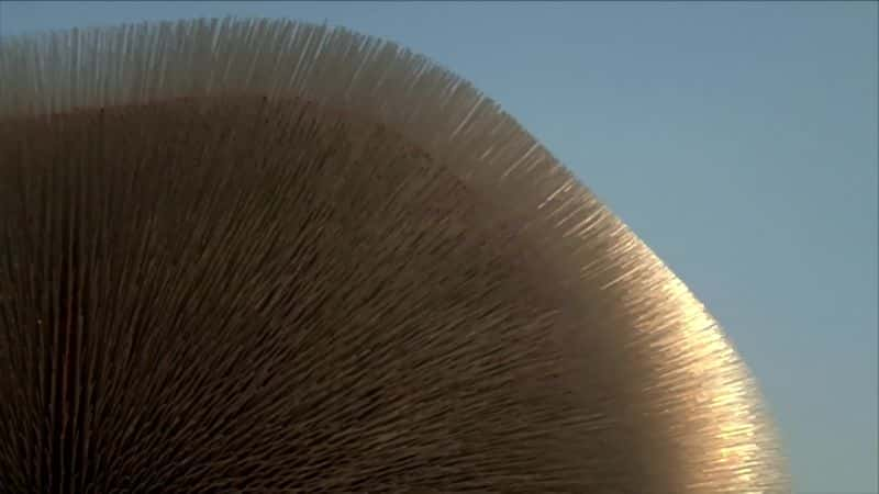 纪录片《不可阻挡的托马斯·赫斯维克 The Unstoppable Thomas Heatherwick》[无字][BT][720P]资源下载