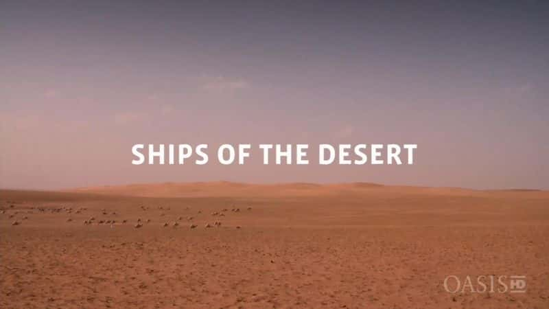 纪录片《沙漠之船 Ships of the Desert》[无字][BT][720P]资源下载