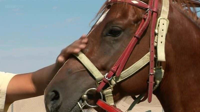 ¼Ƭɽж˹̩ Horse People with Alexandra TolstoyĻ/Ļ