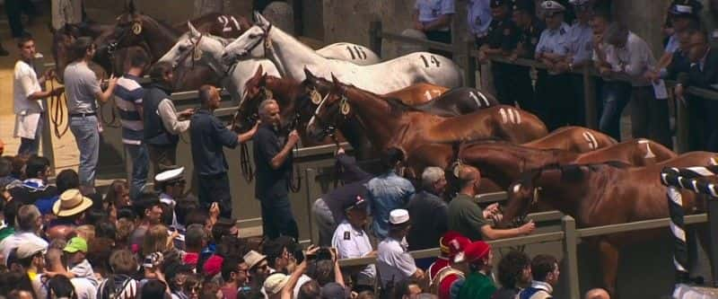 纪录片《世界上最艰难的赛马：派力奥 (BBC) The Toughest Horse Race in the World: Palio (BBC)》[无字][BT][DVD]资源下载