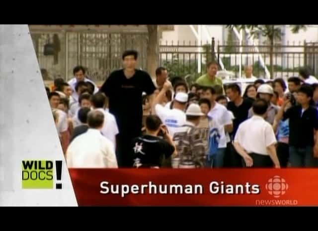 纪录片《超人巨人 Superhuman Giants》[无字][BT][720P]资源下载