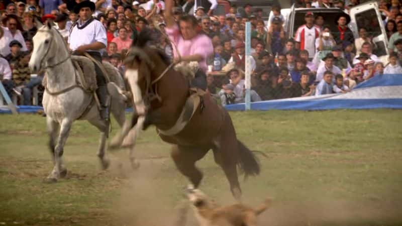 纪录片《两个朋友：高乔冒险 The Two Amigos: A Gaucho Adventure》[无字][BT][1080P]资源下载