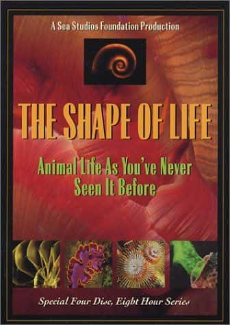 纪录片《生命的形状 The Shape of Life》[无字][BT][DVD]资源下载