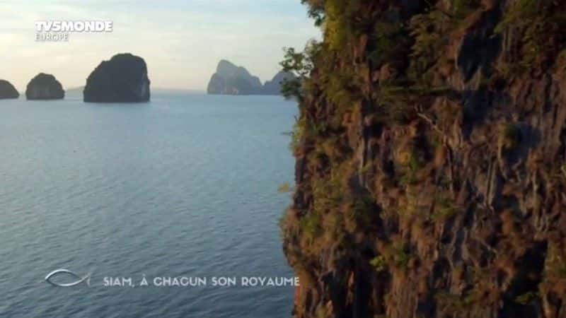 纪录片《暹罗：chacun son royaume Siam: a chacun son royaume》[无字][BT][720P]资源下载