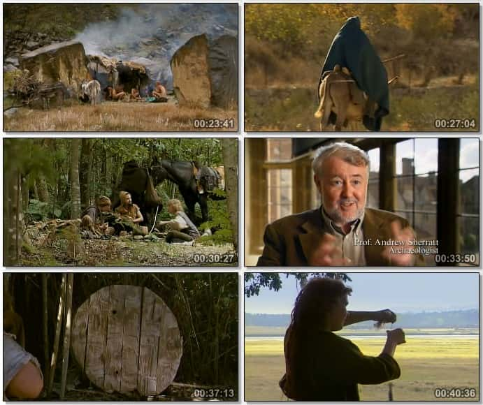 纪录片《石器时代的故事 Stories from the Stone Age》[无字][BT][720P]资源下载