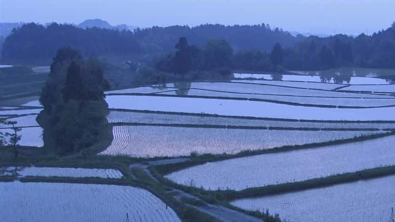 纪录片《里山:日本的秘密花园 Satoyama:Japan's Secret Garden》[无字][BT][720P]资源下载