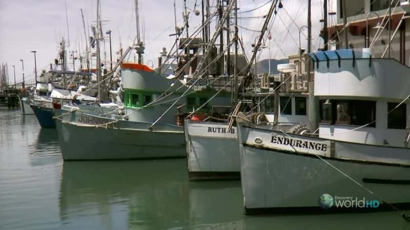 纪录片《旧金山（世界华盛顿特区海滨城市） San Francisco (DC Waterfront Cities of the World)》[无字][BT][720P]资源下载