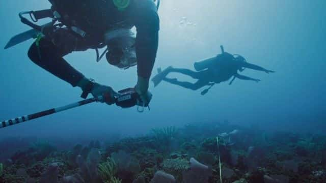 纪录片《加勒比海的宝藏 Treasure of the Caribbean》[无字][BT][1080P]资源下载