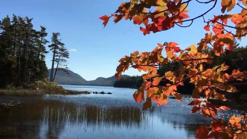 ¼Ƭڶ͵Ĺǹҹ԰ Second Century Stewardship: Acadia National ParkĻ/Ļ