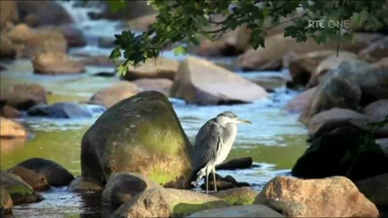 ¼Ƭ羰 Secrets of the Irish LandscapeĻ/Ļ