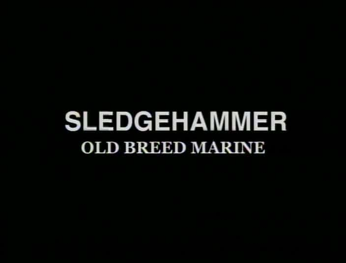 纪录片《无名英雄：大锤 - 老品种海军陆战队 Unsung Heroes: Sledgehammer - Old Breed Marine》[无字][BT][1080P]资源下载