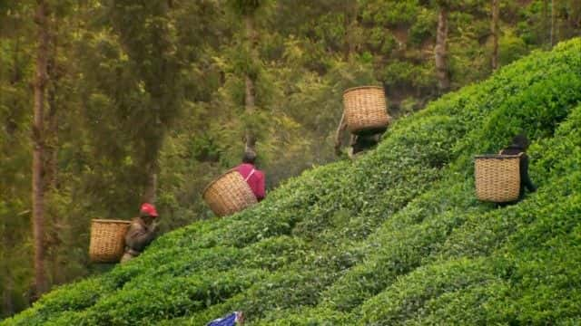 纪录片《茶道 (BBC) The Tea Trail (BBC)》[无字][BT][720P]资源下载