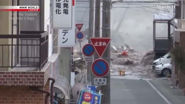 纪录片《海啸：前三天 The Tsunami: The First 3 Days》[无字][BT][1080P]资源下载