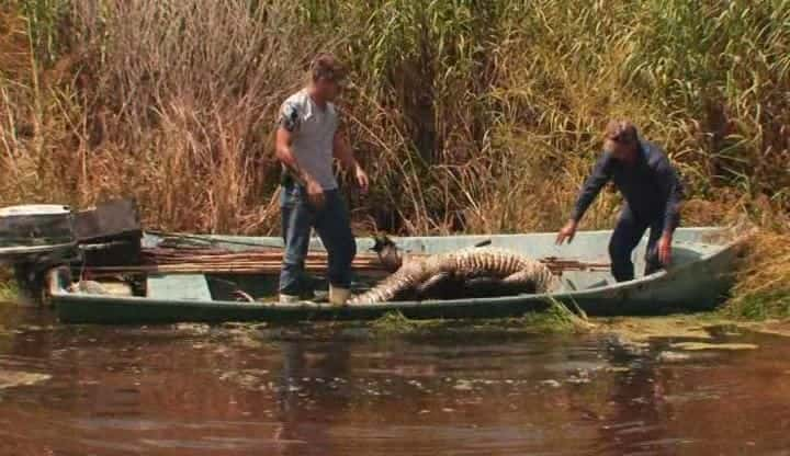 纪录片《沼泽人：第一季 Swamp People: Season One》[无字][BT][1080P]资源下载