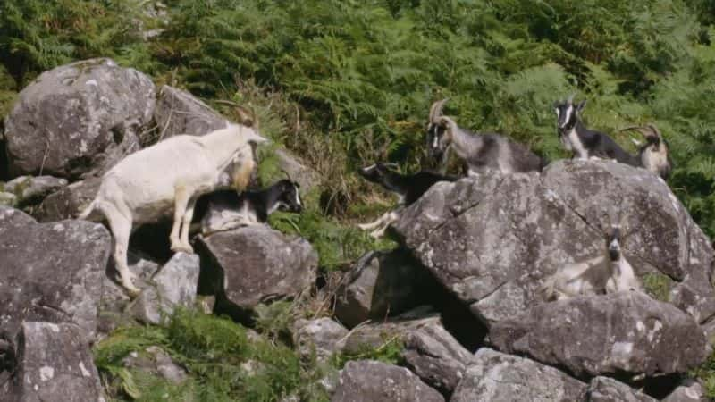 ¼ƬȿΣ Hot Air Ireland's Climate Crisis1080P-Ļ/Ļ