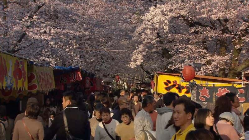 ¼Ƭصձ Hidden Japan1080P-Ļ/Ļ