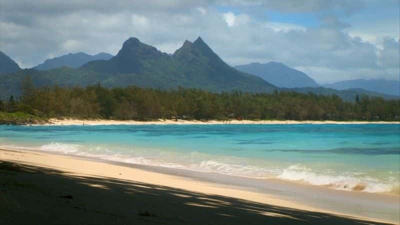 ¼ƬģеϢ (BBC) Hawaii: Message in the Waves (BBC)ȫ1-Ļ/Ļ