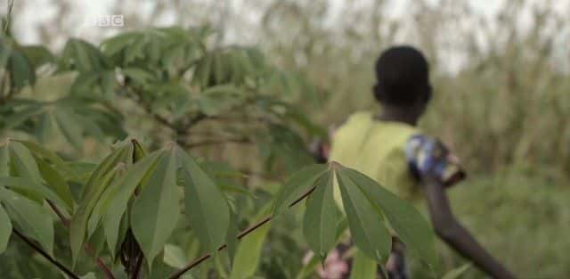 纪录片《乌干达被偷走的纯真 Uganda's Stolen Innocence》[无字][BT][720P]资源下载