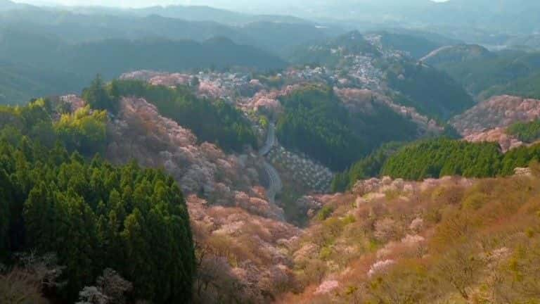 ¼ƬձSpringwatch Springwatch in Japan1080P-Ļ/Ļ