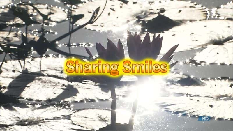 ¼Ƭ΢Ц Sharing SmilesĻ/Ļ