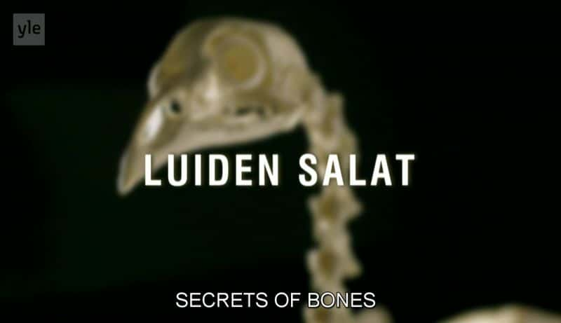 ¼Ƭͷ Secrets of BonesĻ/Ļ