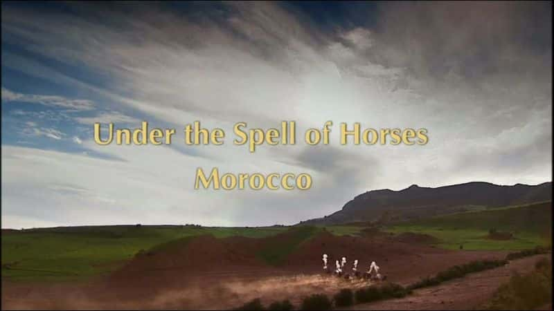 纪录片《在马的咒语下 Under the Spell of Horses》[无字][BT][720P]资源下载