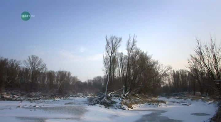 纪录片《被水淹没的森林的秘密 - 多瑙河国家公园 Secrets of the Flooded Forest - Danube National Park》[无字][BT][720P]资源下载