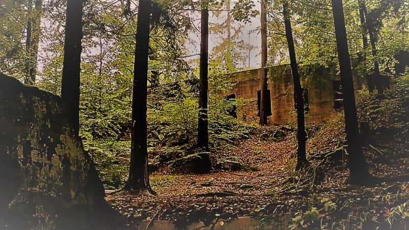 ¼Ƭɴַϵ 2  6 ֣èͷӥɽ Secret Nazi Ruins Series 2 Part 6:Secrets of the Owl Mountains1080P-Ļ/Ļ