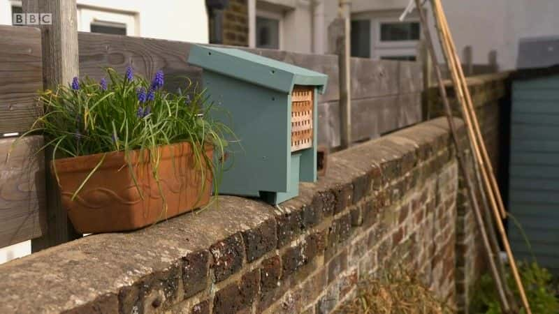 纪录片《Springwatch：花园里的狂野 Springwatch: Wild in the Garden》[无字][BT][720P]资源下载