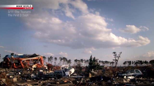 纪录片《海啸：前三天 The Tsunami: The First 3 Days》[无字][BT][1080P]资源下载