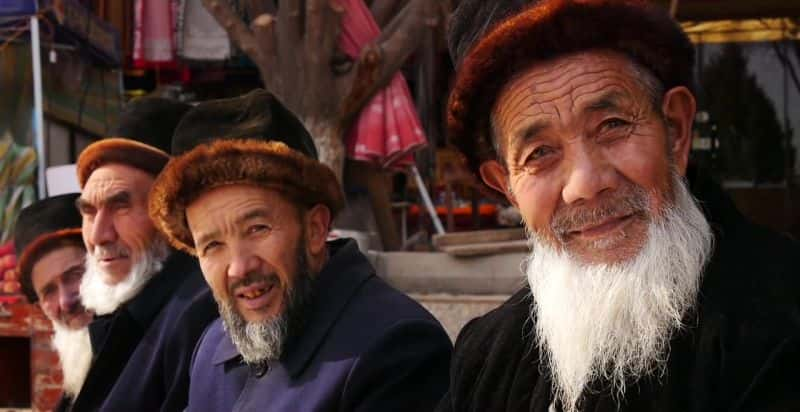 纪录片《维吾尔人：丝绸之路幸存者 The Uighurs: Silk Road Survivors》[无字][BT][1080P]资源下载