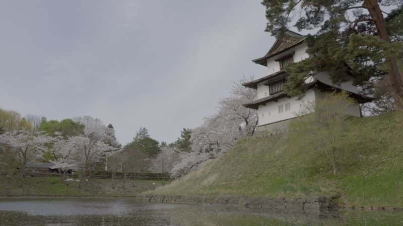 纪录片《樱花 Sakura》[无字][BT][1080P]资源下载