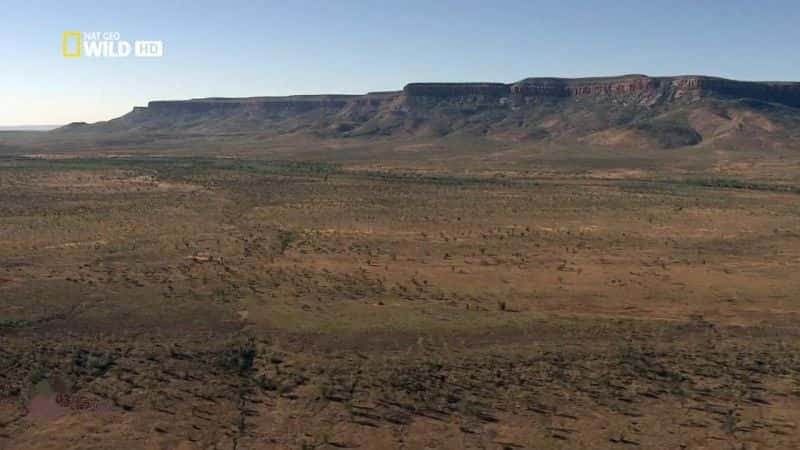 纪录片《澳大利亚天空野生动物园 Sky Safari Australia》[无字][BT][720P][1080P]双画质资源下载