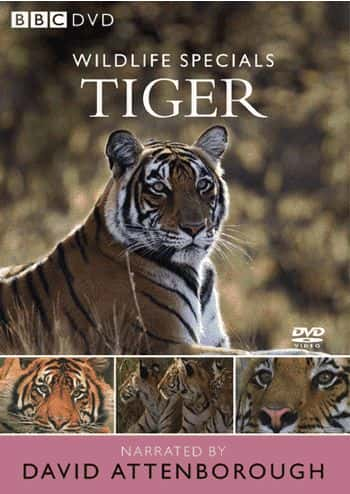 纪录片《老虎 Tiger》[无字] [BT][DVD画质]资源下载