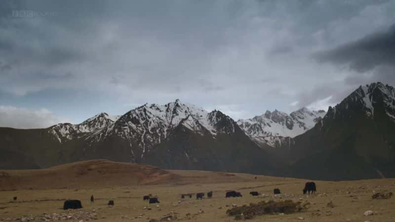 ¼Ƭϲк͵ӻ The Himalayan Boy and the TV SetĻ/Ļ